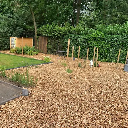 Vakantiewoning - 4 Pers Op De Ijsvogel Chalet Voorthuizen