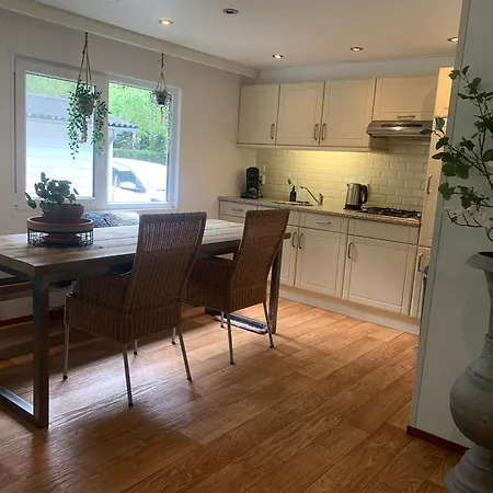 Vakantiewoning - 4 Pers Op De Ijsvogel Chalet Voorthuizen