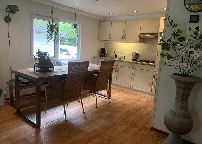 Vakantiewoning - 4 Pers Op De Ijsvogel Alpstuga Voorthuizen